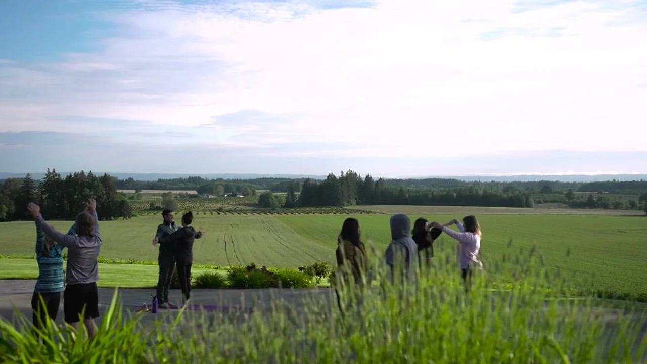 Guests gather outdoors on a terrace overlooking green fields and a vineyard